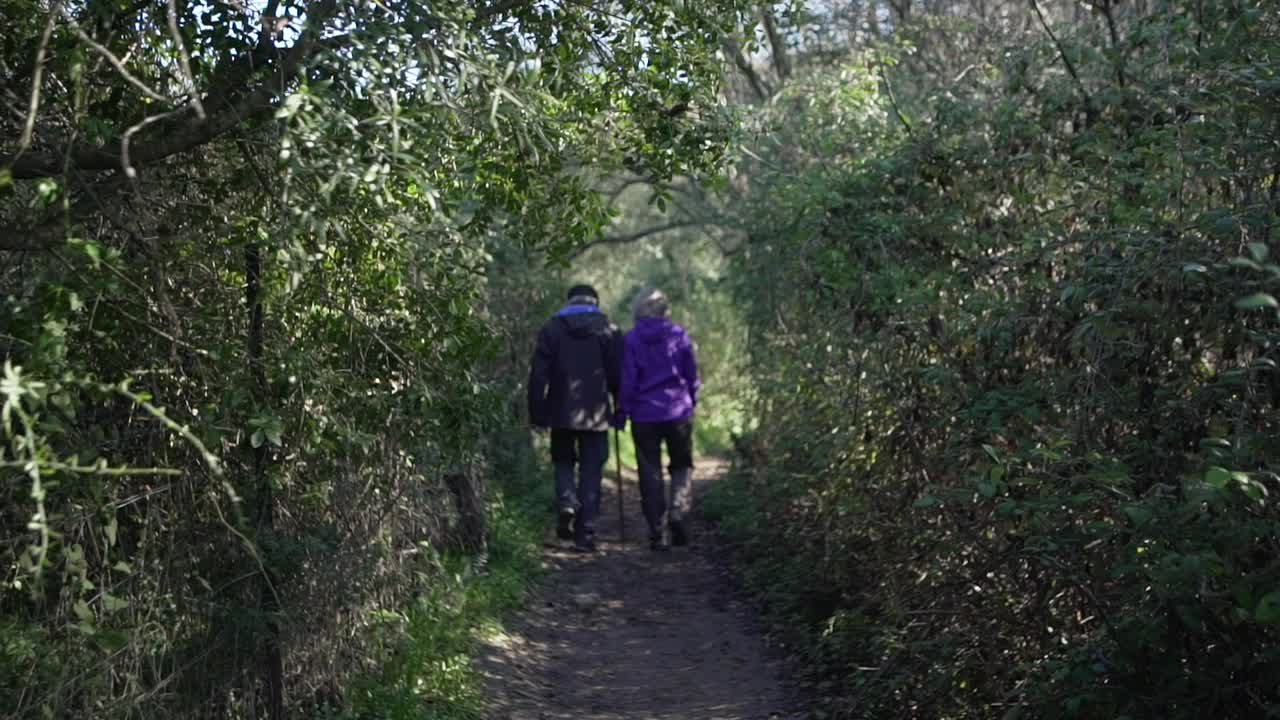 Coppia di anziani con bastoni che cammina nel bosco