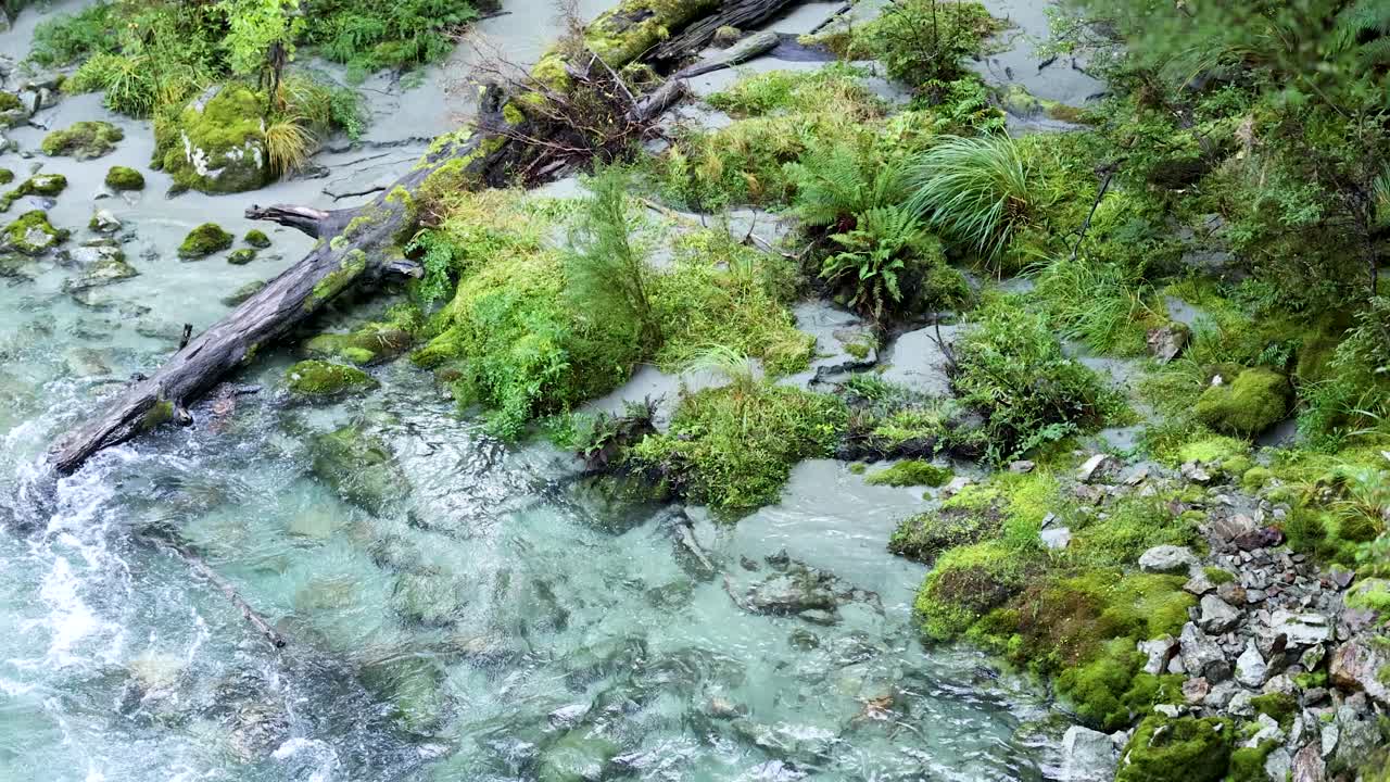 Aerial view of a crystal-clear stream flowing over mossy rocks and lush green vegetation in Kinloch, New Zealand. Natural daylight, steady camera