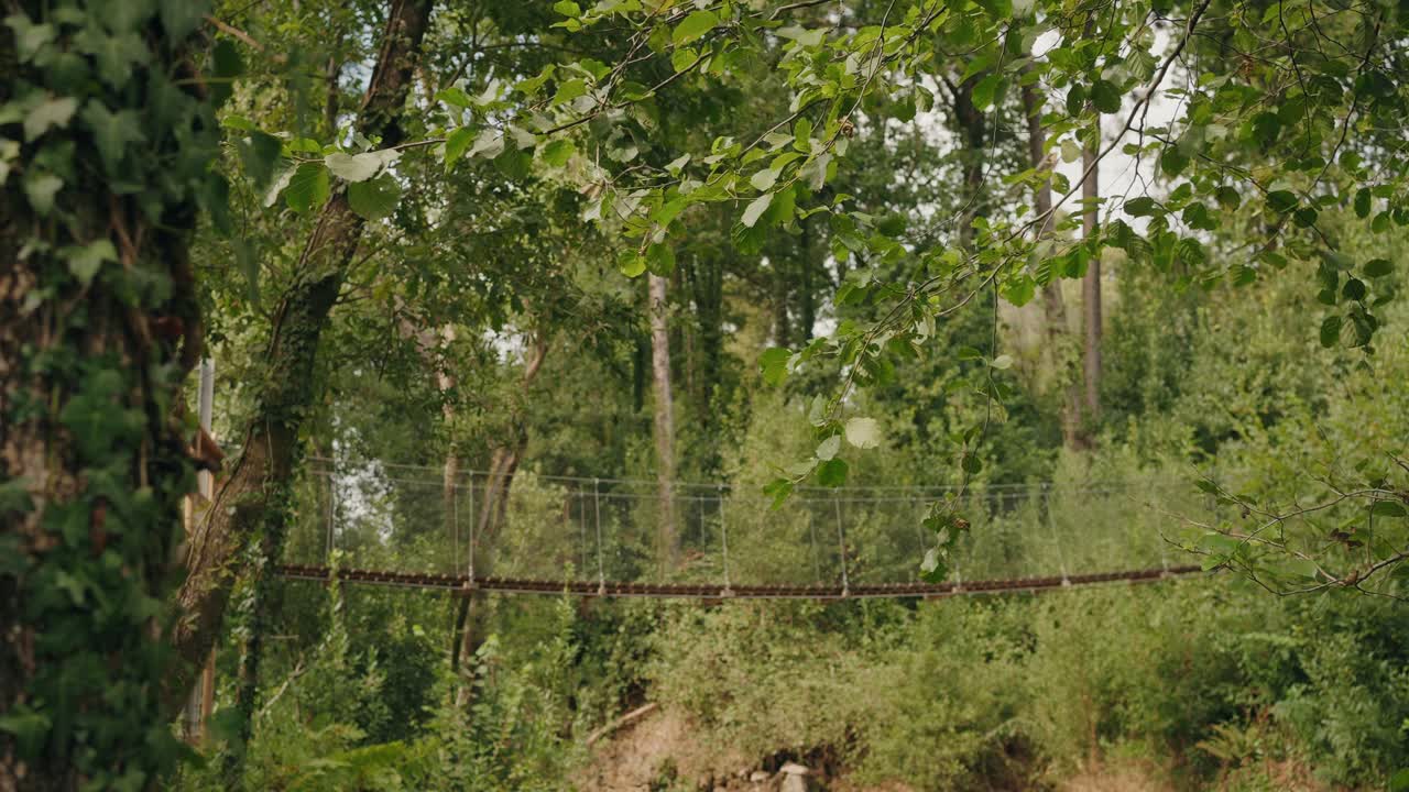 Suspension Bridge in a Lush Green Forest