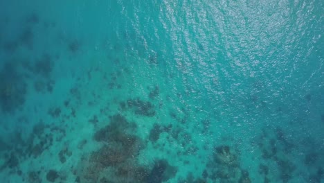 菲律賓西亞爾加奧 (siargao) 的藍色水域和珊瑚礁上直接拍攝的空中追蹤