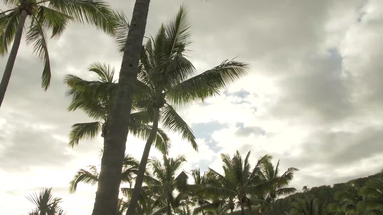 isla reunión "al borde del océano