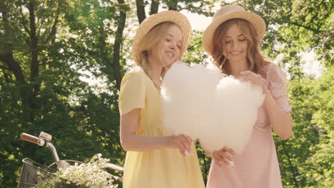 two friends enjoying cotton candy in a park