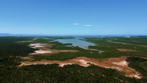 selva tropical río de la selva en queensland, australia
