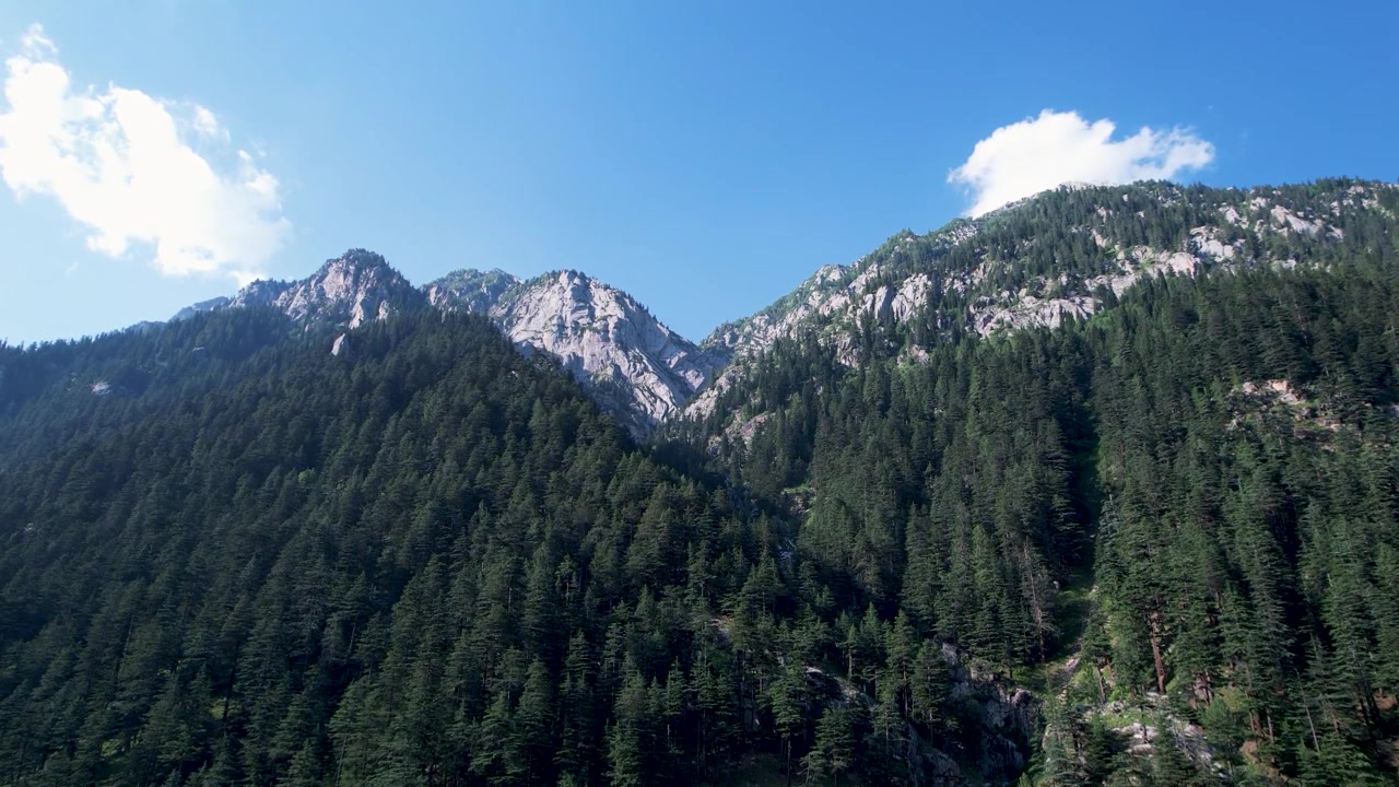 Forested mountain peaks rise above dense conifer trees in Kumrat Valley, Khyber Pakhtunkhwa, Pakistan