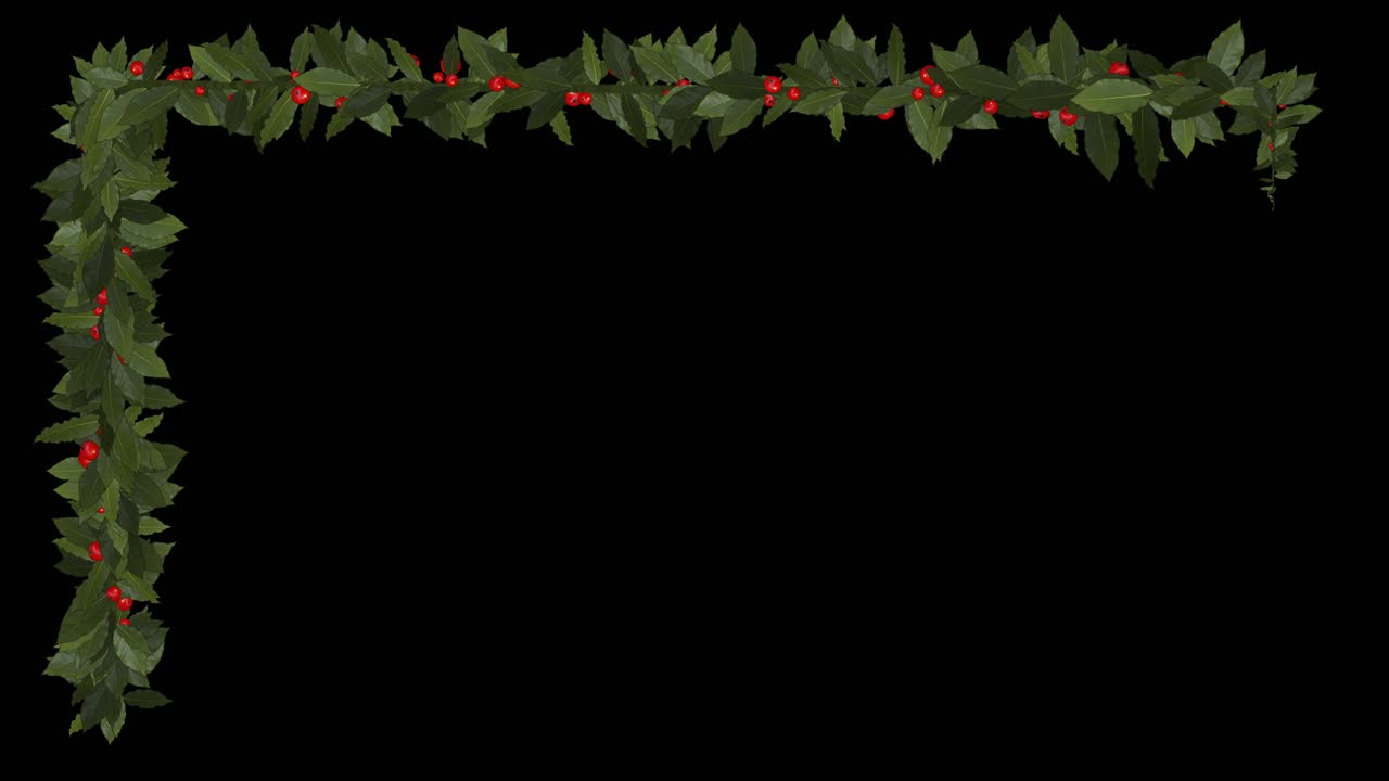 Animated picture image frame with Holly plant growing on black background, 2D animation