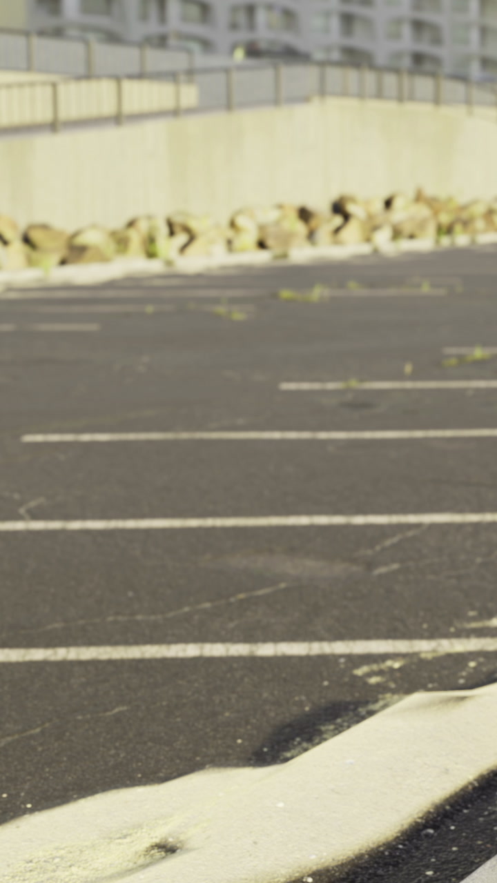 Dusty parking lot shows traces of natures aftermath after a breeze