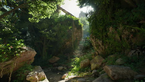 camino de la selva exuberante con rayos de sol