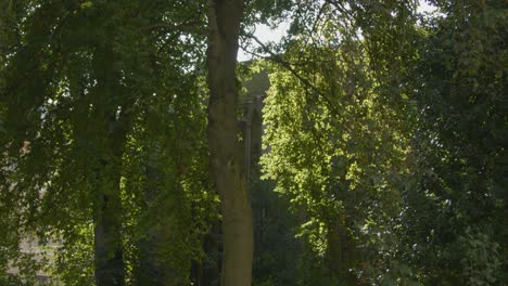 Tilting-Shot-of-Saint-Mary-Magdalen-Church-Graveyard-In-Oxford