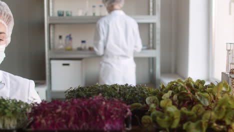 investigación de microgreens en un laboratorio