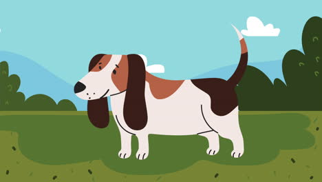 cute dog mascot in grass animation