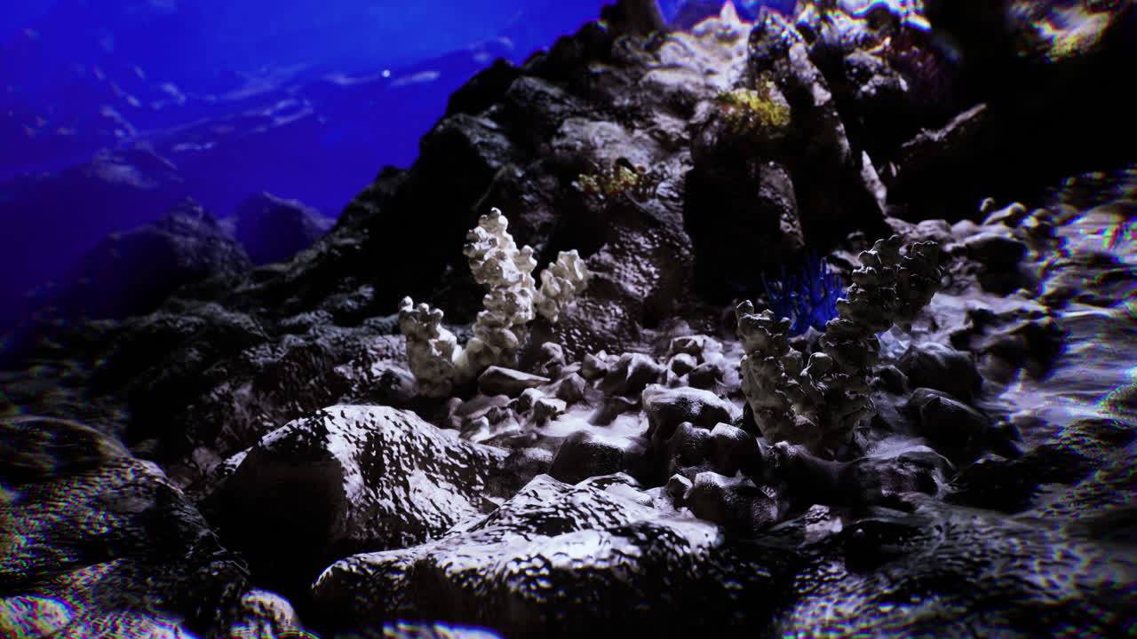 Coral reef ecosystem with vibrant marine life in the ocean depths