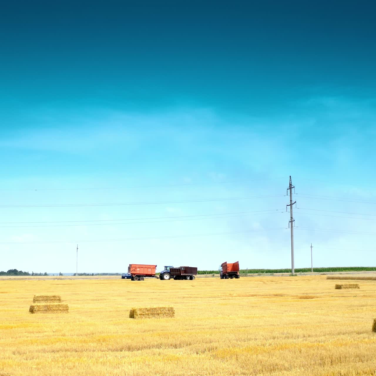 Agricultural machinery at harvesting season. Yellow field with pressed bales under blue sky. Dried bundles of straw on background of tractors and trucks working on field