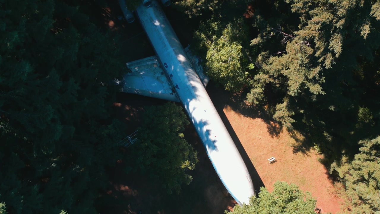 Lento sorvolo dall'alto di una fusoliera di aereo che giace tra gli alberi con luce solare e ombre in una foresta.