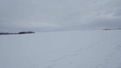 clean barren snow covered mountain hillside blends into grey cloudy sky