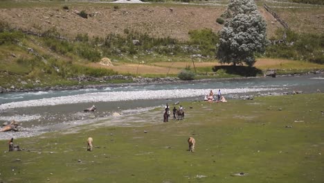 Montar-A-Caballo-En-Los-Montes-Del-Valle-De-Cachemira,-India