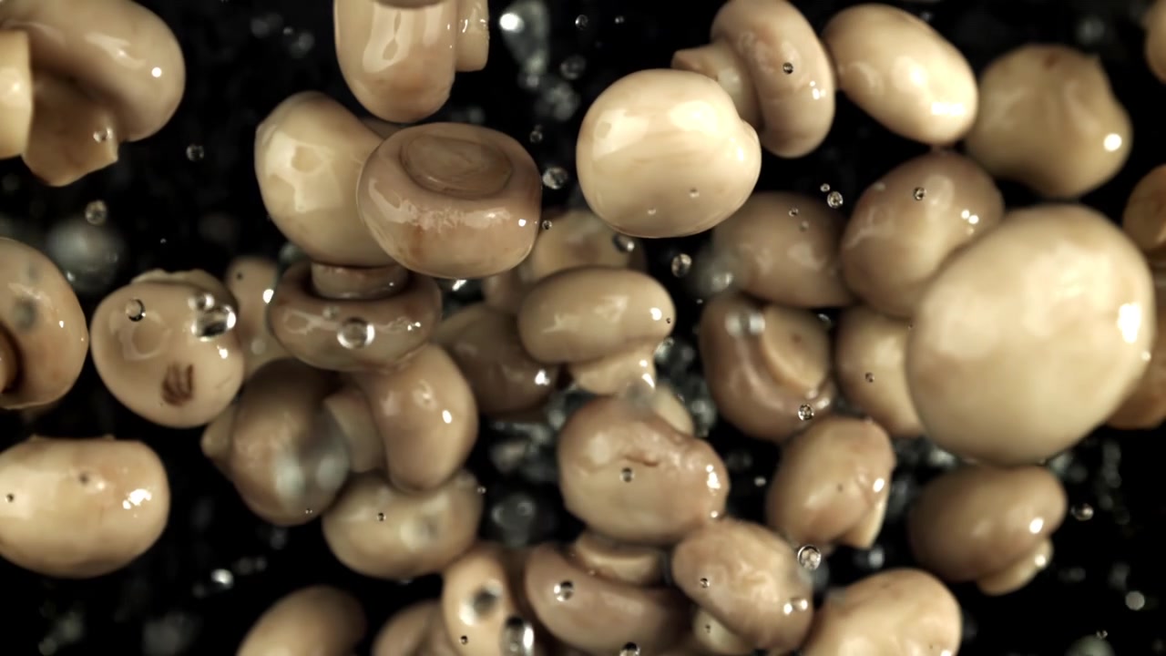 Ferske sjampinjonger faller med vanndråper i sakte film