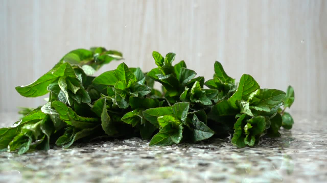 Caduta di foglie di menta. Movimento rallentato