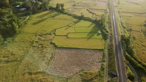 concept of irrigation cultivation of rice paddy farm field in rural village countryside iran rasht gilan cultivating dry land agriculture farmer family working nature local people life forest mountain