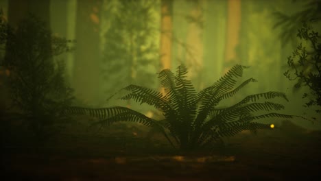 firefly in misty forest with fog