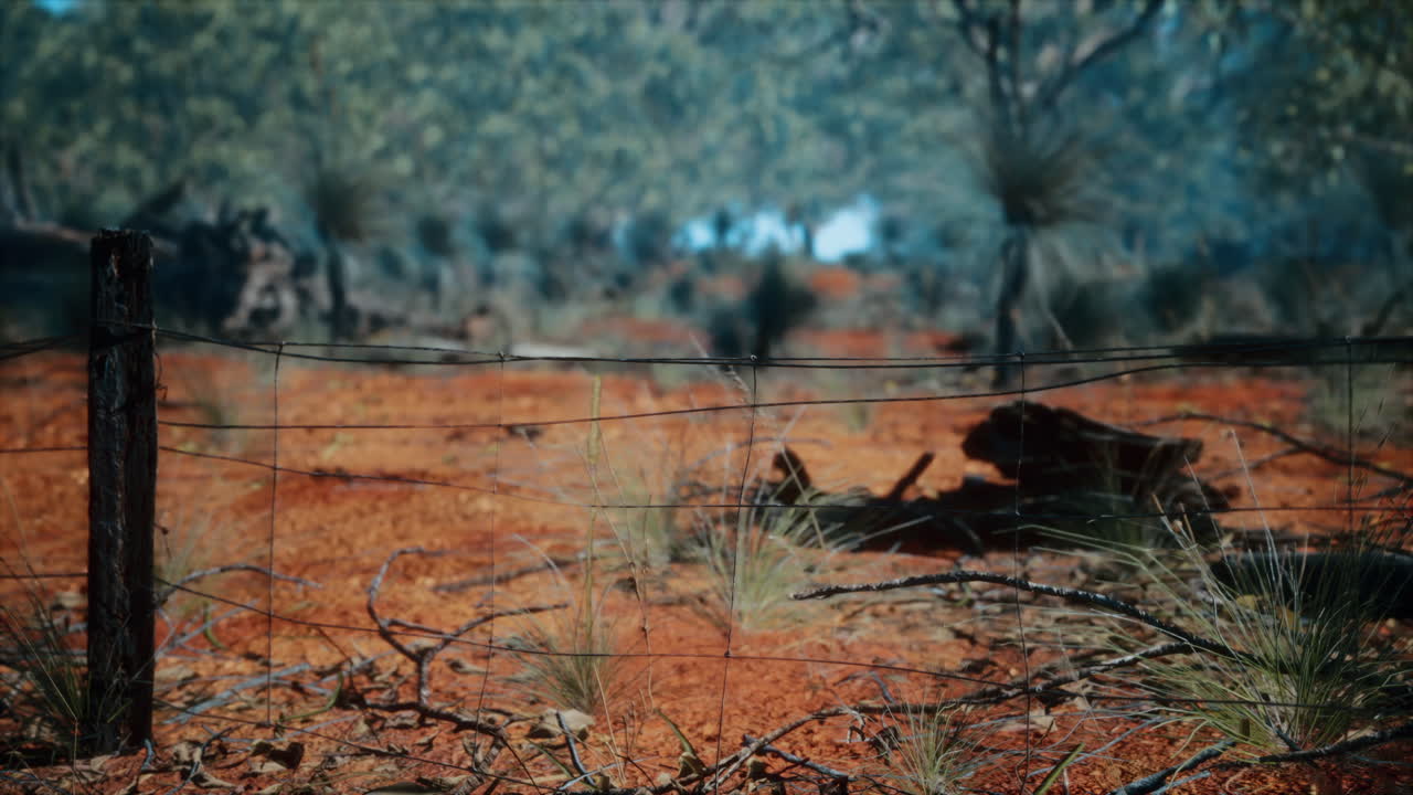 ⁇ 은 산화 된 작은 농장 울타리