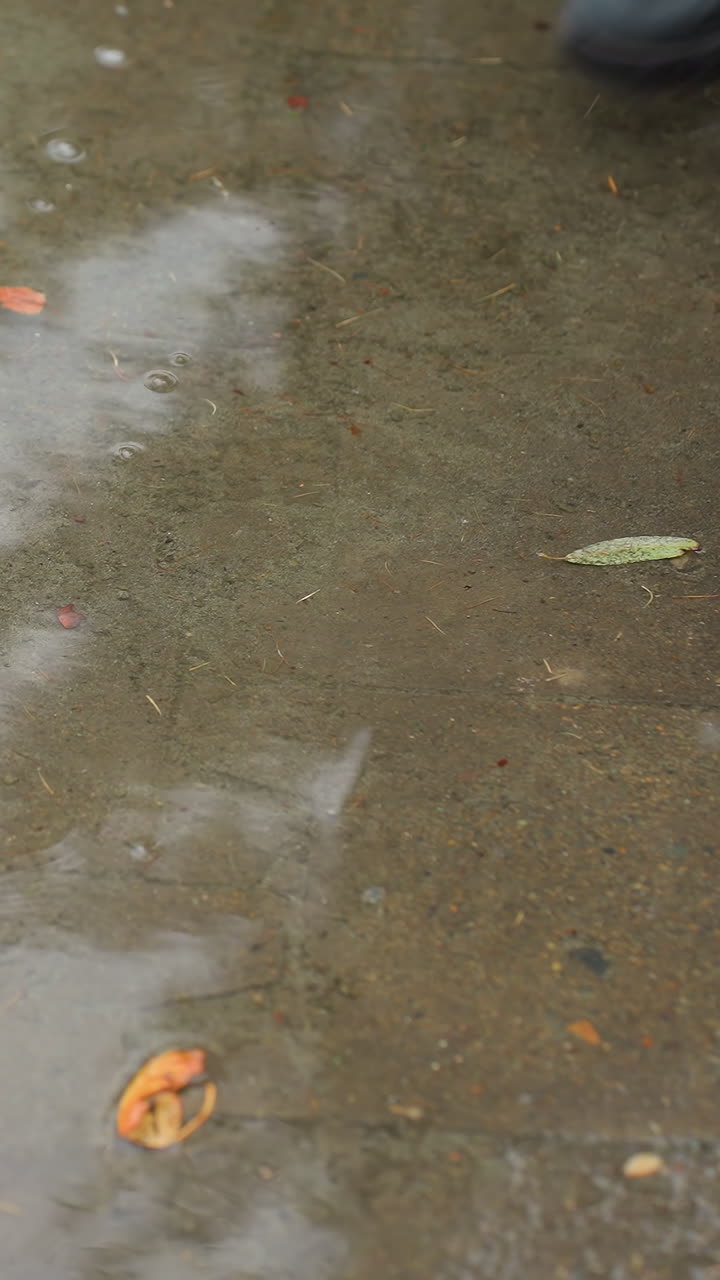 Leg in black boot gently runs through water puddle on wet paved path scattered with colorful fallen autumn leaves and pine needles, creating ripples on surface during cold overcast day with reflections