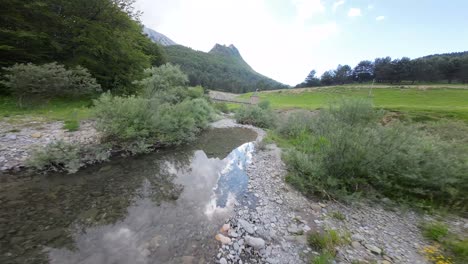 A-drone-flies-above-the-river,-traversing-a-forest-in-the-mountains