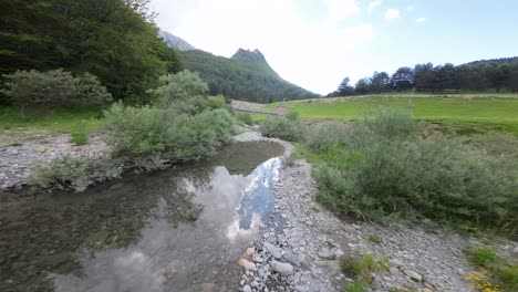 a drone flies above the river, traversing a forest in the mountains