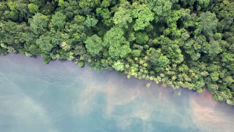 Ruhiges-Hellblaues-Meerwasser,-Umgeben-Von-Vegetation