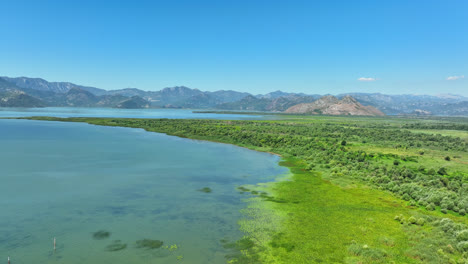 Aerial-view-backwards-over-wetlands-in-Skadar-lake-national-park,-Montenegro