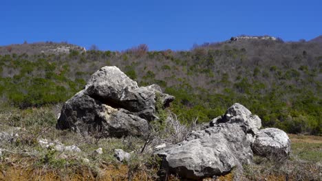 Felsen-Mit-Schöner-Granithöhlenoberfläche-Auf-Berghintergrund-Mit-Baumwald-Unter-Hellblauem-Himmel-Im-Frühling