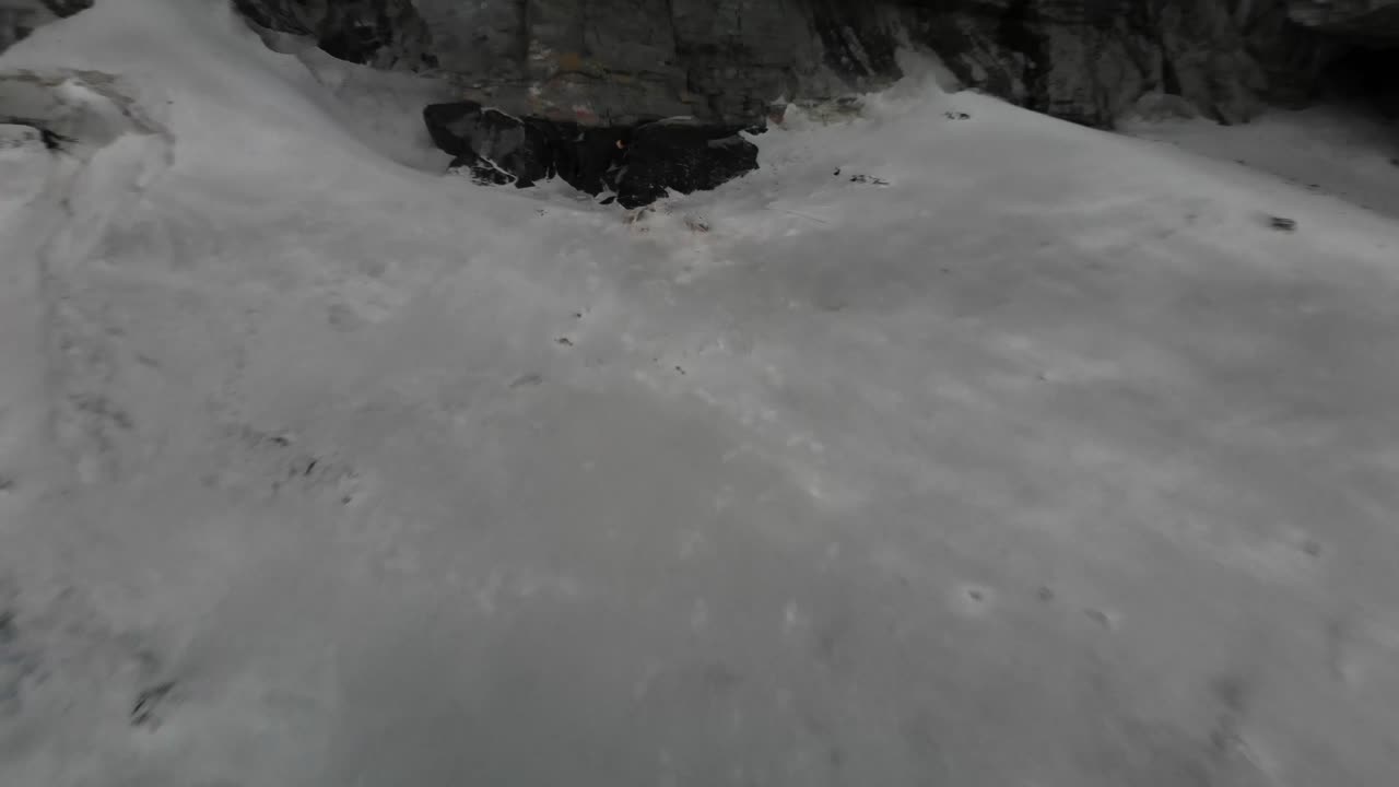 беспилотный полет от скелета овцы к живым овцам на холме