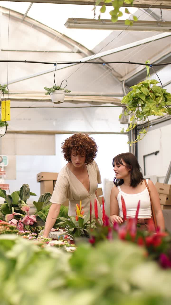 Nursery workers discussing plants in greenhouse. Vertical