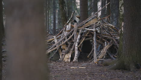 pan of small hut built out of different tree branches in forest