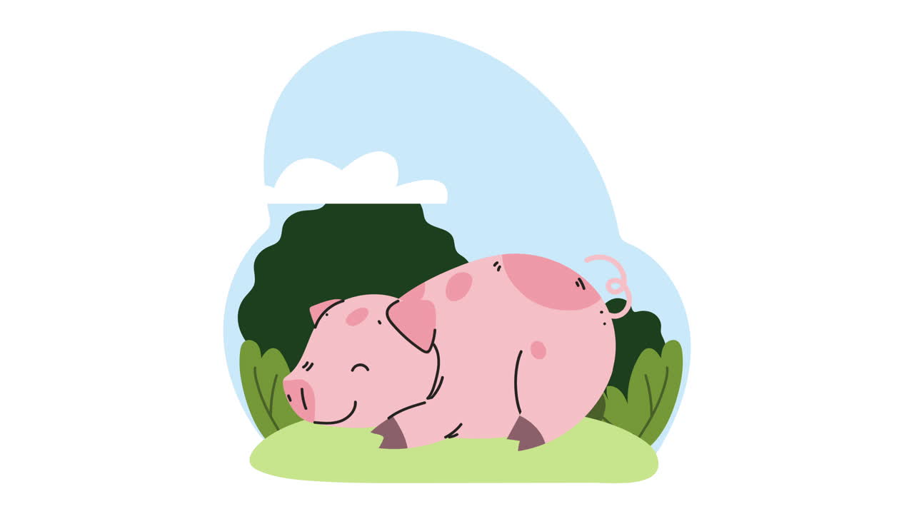 캠프에서 잠을 자는 귀여운 돼지 애니메이션