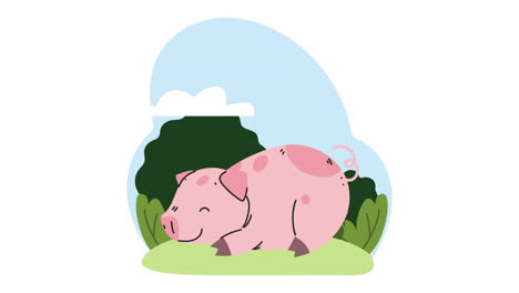un cerdo lindo durmiendo en el campamento de animación