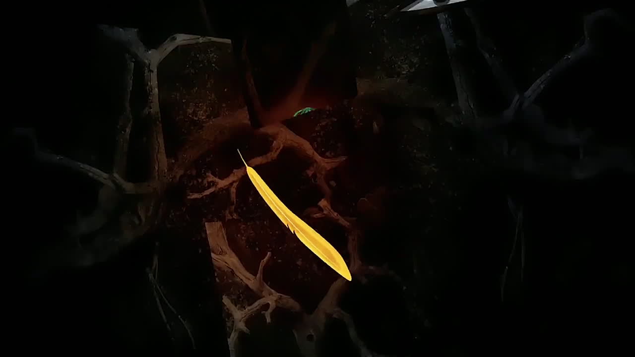 arte digital abstracto con plumas y ramas