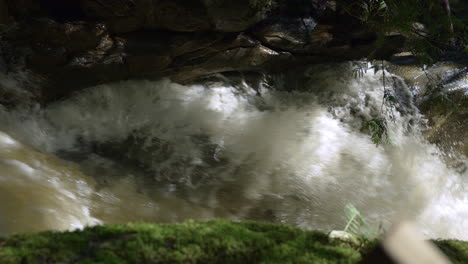 Top-view-of-a-stream-in-a-dark-forest