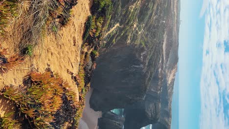 zambujeira do mar over the sea shore with ocean waves, cliffs and sand dunes covered by green vegetation red leaves of sour fig, sunny day, clear blue sky