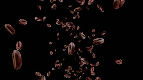 flying many roasted coffee beans on black green screen loop animation background.