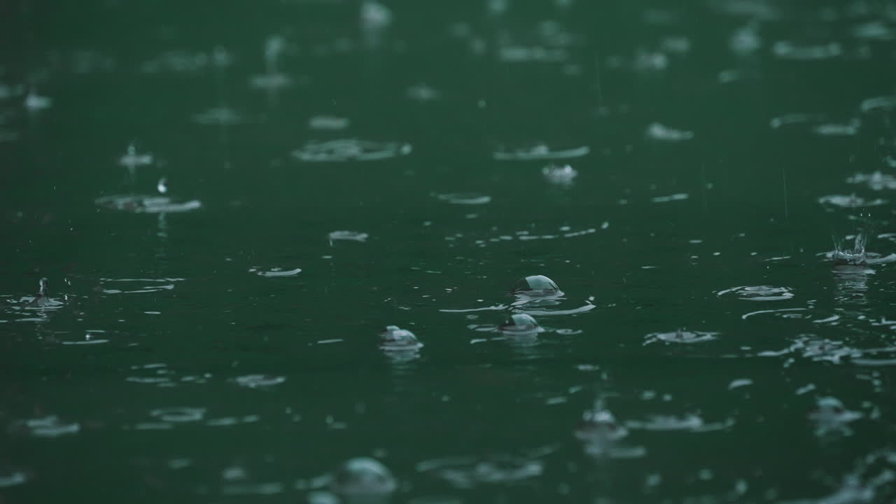 Slow motion of rain with splashes on wet asphalt surface