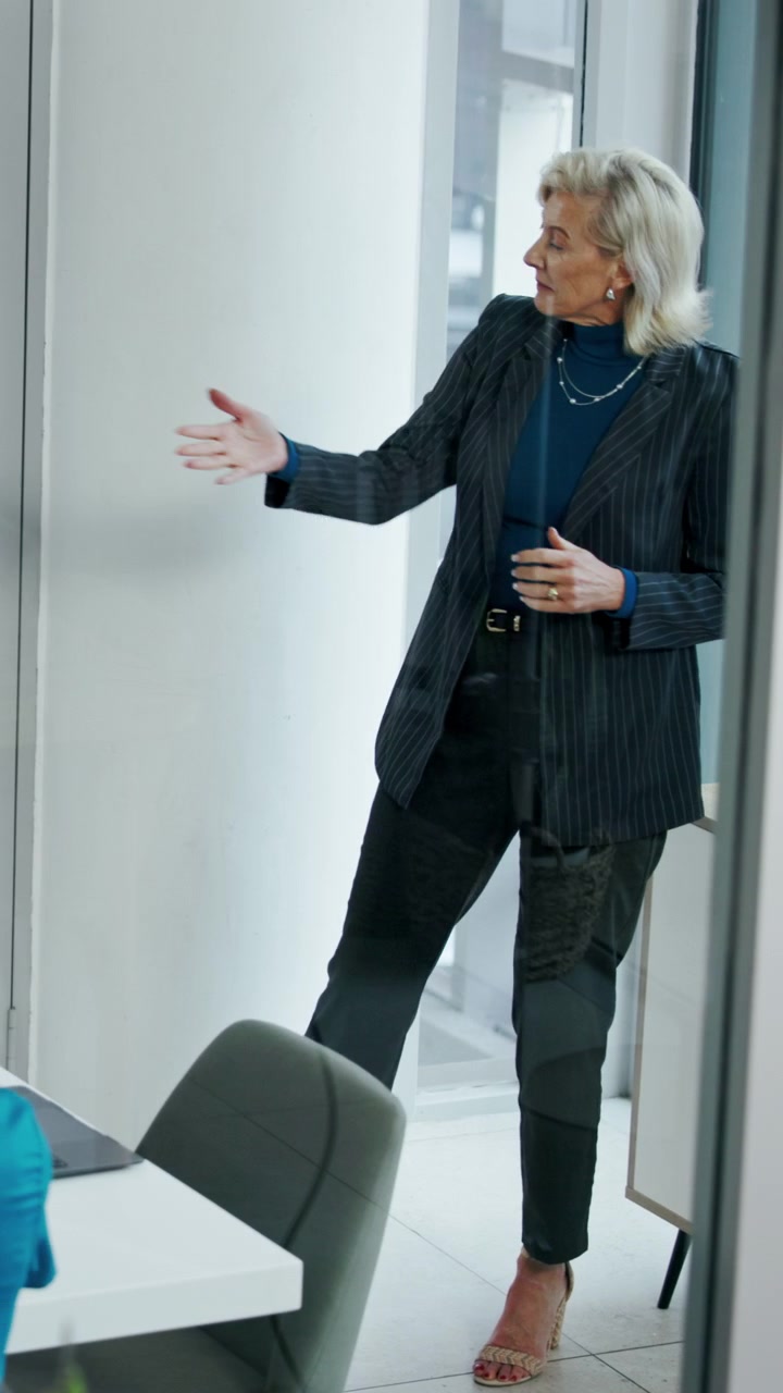 Mature Businesswoman Leading a Meeting in a Modern Office