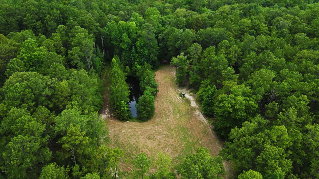 연못 을 가진 음식  의 공중 촬영