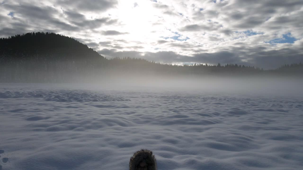 공중 인형 외로운 사람을 향해 밀다 깊은 추운 겨울 눈 안개 언덕의 날