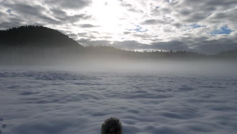 Aerial-dolly-push-towards-lonely-person-deep-cold-winter-snow-mist-hills-day