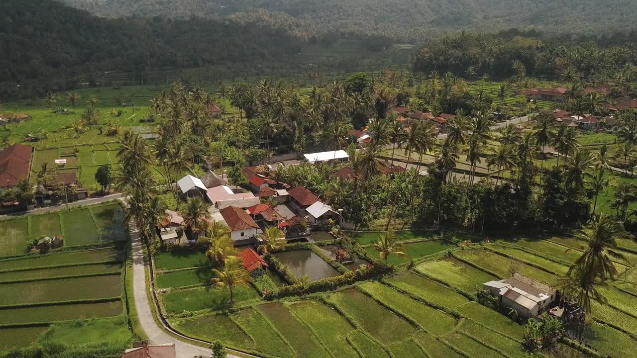 Penerbangan drone dengan kemiringan kamera ke atas secara perlahan di atas sawah Tirtagangga, Bali Indonesia 4k.