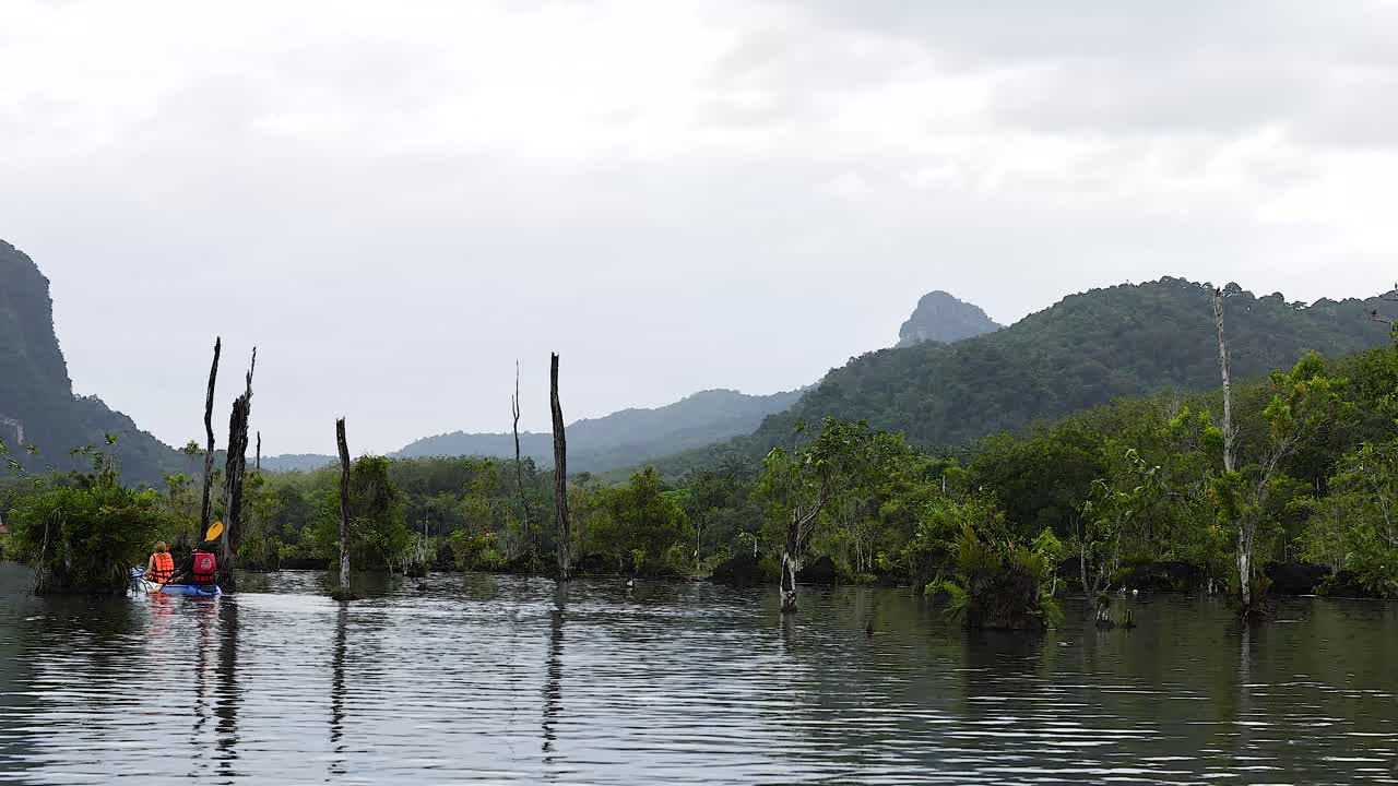 카야크 타는 사람 들 이 크라비 의 조용 한 운하 를 항해 하고 있다