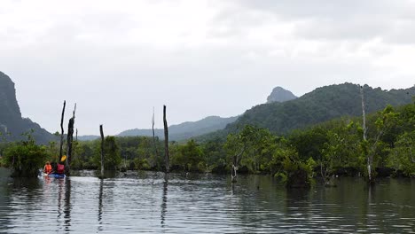los kayakistas navegan por un tranquilo canal en krabi