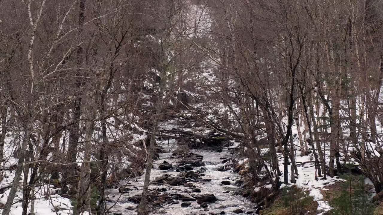 Static 4K shot of a stream running between bare winter trees and patches of snow in a quiet forest landscape