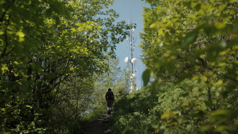 a hiker approaching the peak of a mountain in the shade of the trees