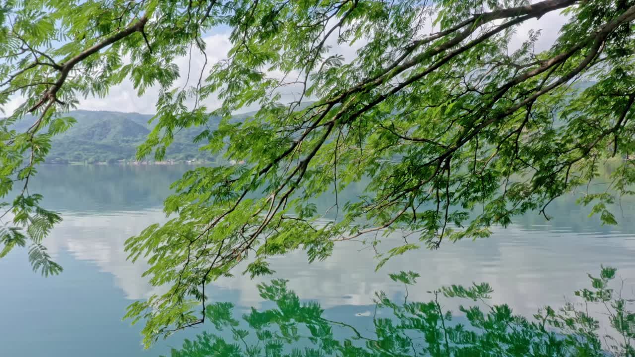 Overhanging leafy branches mirrored in clear calm lake water, distant hills, sky reflection, peaceful scene, nature view, tranquil waterside, summer landscape, England